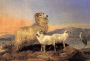 Richard ansdell,R.A. A Ewe with Lambs and A Heron Beside A Loch France oil painting artist